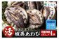 香住で育てた養殖あわびです。 
香住の綺麗な海で、栄養豊かな昆布を作り、昆布をえさに、美味しいあわびを育てています。