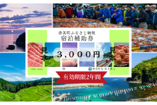 【香美町 宿泊補助券 町内 共通 3000円分 有効期限2年】発送目安：入金確認後7日以内で発送します。大人気 ふるさと納税 宿泊券 助成券 香住 村岡 小代 兵庫県 日本海 松葉ガニ 香住ガニ せこがに かにすき かに宿 のどぐろ 活イカ ほたるいか いか 但馬牛 あまるべ鉄橋 余部鉄橋 クリスタルタワー ハチ北スキー場 おじろスキー場 10000 10000円 一万円 以下 25-01　