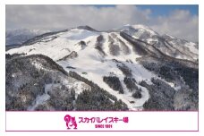 スカイバレイスキー場リフト1日券（大人＋小学生）＋食事券2000円分 スキーチケット 体験チケット リフト券 スキー スキーリフト券 1日券 お礼の品 スキー場 一日券 スノーボード スノボ 兵庫県 冬 旅行 イベント 有効期限 2024/25シーズン終了まで 兵庫県 香美町 村岡 ユースランド 18-04
