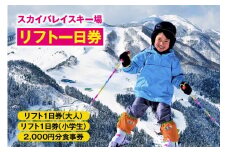スカイバレイスキー場リフト1日券（大人＋小学生）＋食事券2000円分 スキーチケット 体験チケット リフト券 スキー スキーリフト券 1日券 お礼の品 スキー場 一日券 スノーボード スノボ 兵庫県 冬 旅行 イベント 有効期限 2025/26シーズン終了まで 兵庫県 香美町 村岡 ユースランド 18-04