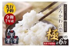 【先行予約】【兵庫県香美町産コシヒカリ】「とろかわの恋（極）」おためし6合（2合×3） 香美ブランド米 但馬堆肥米 お米 白米 令和7年産 9月上旬以降順次発送予定 9000 9000円 10000円以下 一万円 以下 ふるさと納税 香住 香美町 アグリロード村岡 13-03