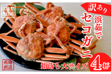 【先行予約】【訳あり 浜茹で セコガニ 香住産 大サイズ4匹入り 冷蔵】11月中旬以降順次発送 カニの本場 香住 濃厚なかにミソとやみつきになる内子、外子が絶品です 訳あり理由：指落ち1～2本 大人気 ふるさと納税 濃厚 香美町 柴山 山陰 日本海 国産 カニ ズワイガニ 松葉ガニ せいこがに メスガニ  爪 ほぐし ボイル 脚 鮮度抜群 絶妙の塩加減での茹で上げ 丸近 18000円 19-10