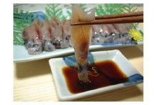 【兵庫県香住産 生 ほたるいか 小分け 250g×8パック 2kg 鍋用だし付 冷凍】ご入金確認後、水揚げ次第順次発送予定 刺身でも食べられる 兵庫県はほたるいか水揚げ日本一！ ホタルイカ いか 生ほたるいか 便利 兵庫県 香住 日本海 珍味 海鮮 刺し身 生食 しゃぶしゃぶ 醤油漬け お取り寄せ グルメ ギフト 大人気 ふるさと納税 送料無料 宿院商店 14000円 33-01