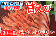 【兵庫県香住産 甘えび 刺身用 30～40尾 約700g 冷凍】ご入金確認後、水揚げ次第順次発送予定 日本海で水揚げされた鮮度抜群の甘えびを水揚げ後、すぐに船内で急速冷凍した商品です。鮮度抜群 漁師が食べている新鮮な旨みをたっぷり味わってください。大人気 ふるさと納税 送料無料 香美町 香住 柴山 刺身 唐揚げ 味噌汁 海鮮丼 エビ 宿院商店 14000円 33-04