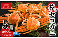 【先行予約】【柴山産 茹でセコガニ 5匹 約600g 1匹約120g】11月中旬以降配送予定 濃厚なかにミソとやみつきになる内子、外子が絶品です 数量限定 産地直送 鮮度抜群 絶妙の塩加減での茹で上げ 大人気 ふるさと納税 香美町 香住 柴山 カニ 松葉ガニ せいこがに メスガニ 親ガニ ヤマヨシ 28000円 37-03