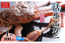 【先行予約】【柴山産 活け タグ付 柴山ガニ 生 800g以上 1匹 冷蔵】11月中旬以降配送予定 水揚げの関係上、配達日の指定はできません 香住で水揚げされた新鮮な活松葉ガニをお届け カニの本場 香住 新鮮 国産 鍋 かにすき 脚 足 爪 身 肩 大人気 ふるさと納税 兵庫県 香美町 香住 柴山 ズワイガニ 松葉ガニ ヤマヨシ 105000円 37-06
