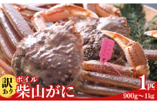 【先行予約】【訳あり ボイル柴山がに（冷凍）900g～1kg 1匹】令和7年11月中旬より順次発送予定 カニの本場 香住産 急速冷凍 浜茹で１～2本足折れ 味や品質に問題ありません 数量限定 香住カニ 香美町 香住 日本海 かに ゆで蟹 むき身 指おち 足 爪 かにすき 鍋 75000円 04-08