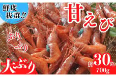 【甘えび えび 赤えび 刺身用 約30尾（約700g）兵庫県 香住産 冷凍 】鮮度抜群 大人気 人気 ランキング ふるさと納税 返礼品 おすすめ 国産 兵庫県 香美町 香住 柴山 発送目安:入金確認後、順次発送 刺身 唐揚げ 海鮮丼  日本海で水揚げされた鮮度抜群の甘えびを水揚げ後、船内で急速冷凍した商品です。漁師が食べている新鮮な旨みをたっぷり味わってください。 丸近 16000円 19-11