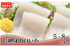 【兵庫県香住産 白いか 剣先いか お刺身用 新鮮 5～8杯 約1kg 冷凍】ご入金確認後、水揚げ次第順次発送予定 日本海で水揚げされた鮮度抜群の白いかを急速冷凍しました 短時間で急速冷凍 産地直送 国産 香住 細胞を壊さず食品の美味しさや栄養をキープ 刺身 イカ焼き イカフライ 煮つけ おすすめ 大人気 ふるさと納税 兵庫県 香美町 宿院商店 19000円 33-07