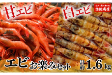 【兵庫県香住産 エビ お楽しみセット 白えび（1箱約800g）甘えび（1箱約800g）合計1.6kg 冷凍】ご入金確認後、水揚げ次第順次発送予定 鮮度抜群の甘エビと白エビの2種類 水揚げ後すぐに船内で急速冷凍 漁師が食べている新鮮な旨み お刺身 焼き物 塩ゆで フライ 唐揚げ 鍋物 海鮮丼 国産 大人気 ふるさと納税 兵庫県 香美町 香住 柴山 宿院商店 25000円 33-09