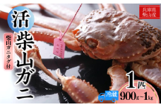 【先行予約】【柴山産 活け タグ付 柴山ガニ 生 900g ～1㎏ 1匹 冷蔵】11月中旬以降配送予定 水揚げの関係上、配達日の指定はできません 香住で水揚げされた新鮮な活松葉ガニをお届け カニの本場 香住 新鮮 国産 鍋 かにすき 脚 足 爪 身 肩 大人気 ふるさと納税 兵庫県 香美町 香住 柴山 ズワイガニ 松葉ガニ ヤマヨシ 140000円 37-08