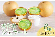 【香住梨ジェラート　100ml×6個 】大人のイタリアンアイスクリーム 和三盆を使用することで上品な甘さとコクを醸し出したジェラート 兵庫県産 香美町産 香住産 日本海 山陰 果物 フルーツ なし 梨 ナシ senco-ya（仙古屋）16000円 42-01
