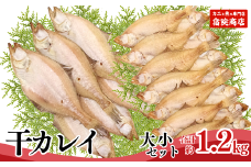 【兵庫県香住産 干物 干カレイセット 合計1.2kg以上（大5～8枚 約600g、小11～15枚 約600g）冷凍】※発送目安：ご入金確認後、順次発送予定 身の厚い大きめのカレイ 少し小ぶりのカレイセット 南蛮漬もおすすめ 絶妙の塩加減 大人気 ふるさと納税 送料無料 唐揚げ お酒のお供 日本海 香住港 柴山港 兵庫県 香美町 香住 柴山 宿院商店 12000円 33-13