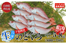 【兵庫県香住産 訳あり のどぐろ 調理済 少し小さめ（1匹80～100g前後）約600g～700g 冷凍】ご入金確認後、水揚げ次第順次発送予定 サイズ不揃い 日本海で水揚げ 生冷凍 鮮度抜群 脂乗りの良いノドグロを急速冷凍 細胞を壊さず、食品の美味しさをキープ 白身のトロ 国産 産地直送 BBQ 兵庫県 香美町 香住 柴山 山陰 ふるさと納税 送料無料 宿院商店 14000円 33-14