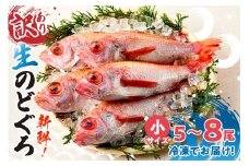 【兵庫県香住産 訳あり のどぐろ 調理済 少し小さめ（1匹80～100g前後）約600g～700g 冷凍】ご入金確認後、水揚げ次第順次発送予定 サイズ不揃い 日本海で水揚げ 生冷凍 鮮度抜群 脂乗りの良いノドグロを急速冷凍 細胞を壊さず、食品の美味しさをキープ 白身のトロ 国産 産地直送 BBQ 兵庫県 香美町 香住 柴山 山陰 ふるさと納税 送料無料 宿院商店 14000円 33-14