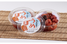 【仙古屋のうめぼし　200g×5個】R7.8月下旬以降発送予定 自家生産の梅 塩分10％ カビ発生防止の為、酒類、酢、及び調味料、防腐剤等不使用 絶妙な旨味 焼酎の梅割り、食欲不振、夏バテ、健康志向の方に、是非、お勧め 香美町産 香住産 日本海 山陰 senco-ya（仙古屋）14000円 42-04  