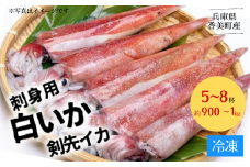 【兵庫県香住産 白いか（剣先いか）刺身用（5～8杯 約900g～1kg）】 産地直送 冷凍 発送目安：令和5年6月上旬以降の発送となります。鮮度抜群の白いかを急速冷凍し、食品の美味しさや栄養をキープしました。噛めば噛むほど濃厚な甘みを感じる美味しいイカです。皮も剥きやすいので、お刺身、煮付けなど色々な料理でお楽しみいただけます。香美町 香住 山陰 刺身 焼きいか 魚や HARATOKU 56-09
