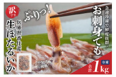 【兵庫県香住産 訳あり 生 ホタルイカ ほたるいか 小分け 便利 1kg（250g×4パック）冷凍】 国産 香住 しゃぶしゃぶ 刺身でも食べられる美味しいホタルイカをぜひ。兵庫県はホタルイカ水揚げ日本一！ いか イカ 大人気 人気 ランキング ふるさと納税 返礼品 おすすめ 兵庫県 香美町 8000円 日本海フーズ 07-95