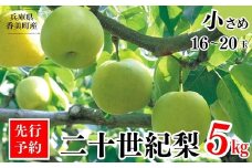 【先行予約】【梨 20世紀梨 香住梨 5kg 秀品（Aランク）小さめ（1玉250g～300gを16～20玉）】8月下旬～9月中旬までにお届け 二十世紀梨 シャキシャキの食感 ほどよい甘さとみずみずしさ 香美町で育つ香住梨 フルーツ 果物 贈答品 ギフト なし ナシ 青梨 和梨 国産 香住 大人気 ふるさと納税 おすすめ 返礼品 ランキング 兵庫県 香美町 JAたじま 16000円 12-09