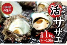 【兵庫県香住産 天然 活 サザエ 1kg（7～10個）冷蔵】※発送目安：ご入金確認後、水揚げ次第順次発送予定 香住で水揚げされた新鮮なサザエをお届け つぼ焼き、炊き込みご飯（サザエ飯）、酒の肴などにピッタリ 磯の香りが濃く風味豊かなサザエ 新鮮 天然 海鮮 大人気 ふるさと納税 夏休み BBQ バーベキュー キャンプ お盆 海 日本海 兵庫県 香美町 香住 柴山 宿院商店 10000円 33-19
