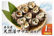 【兵庫県香住産 天然 活 サザエ 1kg（7～10個）冷蔵】香住で水揚げされた新鮮なサザエをお届け つぼ焼き 炊き込みご飯 サザエ飯 酒の肴 磯の香り 風味豊か さざえ 新鮮 天然 海鮮 大人気 夏休み BBQ バーベキュー キャンプ お盆 海 日本海 兵庫県 香美町 香住 柴山 宿院商店 33-19