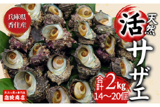 【兵庫県香住産 天然 活 サザエ 2kg（14～20個）冷蔵】※発送目安：ご入金確認後、水揚げ次第順次発送予定 つぼ焼き、炊き込みご飯（サザエ飯）、酒の肴などにピッタリ 磯の香りが濃く風味豊かなサザエ 新鮮 天然 海鮮 大人気 ふるさと納税 夏休み BBQ バーベキュー キャンプ お盆 海 海水浴 日本海 兵庫県 香美町 香住 柴山 宿院商店 15000円 33-20
