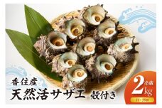 【兵庫県香住産 天然 活 サザエ 2kg（14～20個）冷蔵】香住で水揚げされた新鮮なサザエをお届け つぼ焼き 炊き込みご飯 サザエ飯 酒の肴 磯の香り 風味豊か さざえ 新鮮 天然 海鮮 大人気 夏休み BBQ バーベキュー キャンプ お盆 海 日本海 兵庫県 香美町 香住 柴山 宿院商店 33-20