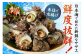 日本海で採れたサザエは鮮度抜群なんです！
