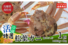 【先行予約】【兵庫県香住産 特選 活 松葉ガニ 生 1匹（約900g～1kg）冷蔵】令和7年11月中旬以降、順次発送予定 水揚げの関係上、配達日の指定はできません 香住で水揚げされた新鮮な活松葉ガニをお届け カニの本場 香住 新鮮 国産 鍋 かにすき 脚 足 爪 身 肩 大人気 ふるさと納税 おすすめ 返礼品 かに カニ 兵庫県 香美町 香住 柴山 ズワイガニ 宿院商店 100000円 33-27