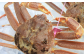 カニすき、カニ刺し、焼がに、茹でがになどいろいろな料理でお召し上がり頂けます。
本場の松葉ガニをご賞味ください。