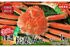 【先行予約】【兵庫県香住産 特選 釜茹で 松葉ガニ 1匹（約800g～900g）冷蔵】令和7年11月中旬以降、順次発送予定 熟練の職人が茹で上げ 水揚げ当日に茹でたてを発送 国産 カニの本場 香住 かに カニ 新鮮 鍋 カニ鍋 かにすき 脚 足 爪 身 肩 大人気 ふるさと納税 おすすめ 返礼品 兵庫県 香美町 香住 柴山 ズワイガニ 宿院商店 100000円 33-28