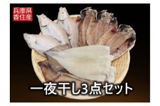 【一夜干し3点セット 産地直送】するめいか アジの開き エテガレイ  発送目安：入金確認後1ヶ月程度 兵庫県で水揚げされた3種の海産物を干物にしました 塩干物の命である塩にこだわり ミネラル分が多く含まれた天日海水塩で仕上げています 干物 BBQ 日本海 兵庫県  香美町 香住  ハマダセイ 15000円 51-04