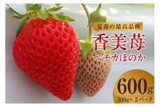 【期間限定】【夏イチゴの最高級品種 ペチカほのか 300g（12～24粒）2パック】7月～11月まで順次発送 香美町で育てた 香美苺 いちご イチゴ 人気 おすすめ ふるさと納税 返礼品 兵庫県 香美町 村岡 ユースランド 23000円 18-06