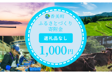 【返礼品なし】兵庫県香美町 ふるさとづくり寄附金（1,000円分）1000 1000円 千円 以下 25-33