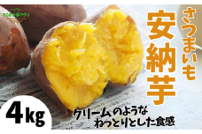 【先行予約】【さつまいも 安納芋 4kg】10月から12月にかけて発送予定 農薬不使用 農薬不使用 あんのう芋 サツマイモ イモ いも クリーム ねっとり 兵庫県 香美町 村岡 むらおか夢アグリ 13000円 41-13