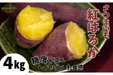 【先行予約】【さつまいも 紅はるか 4kg】10月から12月にかけて配送予定 農薬不使用 サツマイモ イモ いも しっとり 兵庫県 香美町 村岡 むらおか夢アグリ 13000円 41-14