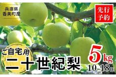 【先行予約】梨 【20世紀梨 ご自宅用 優品（Bランク）5kg サイズ L～5L混合（10～18玉）】8月下旬～9月中旬までにお届け 二十世紀梨 果肉はしっかり シャキシャキの食感 ほどよい甘さと瑞水しさ 香美町で育つ香住梨 フルーツ 果物 なし ナシ ご家庭用 青梨 和梨 大人気 人気 ふるさと納税 おすすめ 返礼品 ランキング 兵庫県 香美町 JAたじま 12000円 12-20
