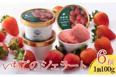 【いちごのジェラート 100g×6個】夏イチゴの最高級品種「ペチカほのか」を使用 アイス アイスクリーム スイート いちご 苺 兵庫県 香美町 村岡 スカイバレイ スキー場 ユースランド 14000円 18-01　