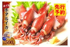 【先行予約】【ほたるいか 鮮度抜群 ボイル 小分け 250g×2パック 500g 酢味噌付 兵庫県産 冷蔵】令和8年3月以降順次発送予定 生ほたるいかを水揚げ後すぐにボイル その日のうちに発送 新鮮さが際立ち、冷凍からの茹で上げとは艶が全く違います 熟練の職人が絶妙な塩加減で茹上げ 兵庫県はホタルイカ水揚げ日本一 いか 香美町 香住 しゃぶしゃぶ ふるさと納税 モリタ食品 6000円 10-13