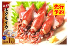 【先行予約】【ほたるいか 鮮度抜群 ボイル 小分け 250g×4パック 1kg 酢味噌付 兵庫県産 冷蔵】令和8年3月以降順次発送予定 生ほたるいかを水揚げ後すぐにボイル その日のうちに発送 新鮮さが際立ち 冷凍からの茹で上げとは艶が全く違います。熟練の職人が絶妙な塩加減で茹上げ。兵庫県はホタルイカ水揚げ日本一 いか 香美町 香住 しゃぶしゃぶ ふるさと納税 モリタ食品 10000円 10-14