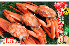 【先行予約】【訳あり 浜茹で香住ガニ 計1.5kg以上（500g×3匹）冷蔵】令和7年9月中旬以降、カニの水揚げ次第順次発送予定 チルド ボイル 茹で香住ガニ  紅ずわいがに 紅ズワイガニ ベニズワイガニ 強い甘み 瑞々しくジューシー 兵庫県 香美町 香住 マルヨ食品 マルヨダイレクト 17000円 17-24