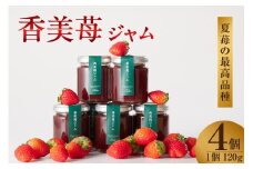 【香美苺ジャム 120g×4個】夏イチゴの最高級品種「ペチカほのか」を使用 苺 いちご ヨーグルトソース トッピングソース 朝食 兵庫県 香美町 村岡 スカイバレイ スキー場 ユースランド 13000円 18-05　