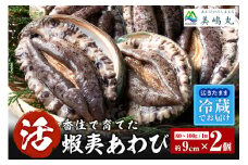 【冷蔵 活あわび 養殖 9cm×2枚 160～200g (1個80～100g）】満点青空レストラン うまい！おせち2023に採用されました 新鮮 発送目安：入金確認後1ヶ月以内 日本海 香住で育てた養殖あわびです。昆布を食べて育つ美味しいアワビをお届けします！レシピ入り 香美町 香住 山陰 アワビ 鮑 活アワビ 海鮮 お刺身 BBQ あわびのバター焼き 美嶋丸 13000円 20-11