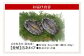 定番！きも醤油でたべるあわびのお刺身
レシピ入りで発送します。