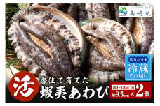 【冷蔵 活あわび 養殖 9.5cm×2枚 200～240g (1個100～120g）】満点青空レストラン うまい！おせち2023に採用されました 新鮮 発送目安：入金確認後1ヶ月以内 日本海 香住で育てた養殖あわびです。昆布を食べて育つ美味しいアワビをお届けします！レシピ入り 香美町 香住 山陰 アワビ 鮑 活アワビ 海鮮 お刺身 BBQ あわびのバター焼き 美嶋丸 15000円 20-12