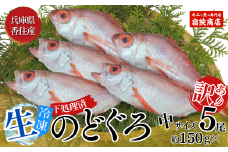 【先行予約】【兵庫県香住産 処理済 のどぐろ中5匹 1匹約150g前後 計約700～800g 冷凍】令和7年9月中旬以降発送予定 日本海で水揚げ 鮮度抜群 生冷凍 脂乗りの良いノドグロを急速冷凍 細胞を壊さず食品の美味しさをキープ 白身のトロ ノドグロ 国産 産地直送 兵庫県 香美町 香住 柴山 山陰 大人気 ふるさと納税 送料無料 宿院商店 19000円 33-30