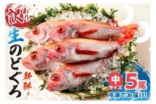 【先行予約】【兵庫県香住産 処理済 のどぐろ中5匹 1匹約150g前後 計約700～800g 冷凍】令和7年9月中旬以降発送予定 日本海で水揚げ 鮮度抜群 生冷凍 脂乗りの良いノドグロを急速冷凍 細胞を壊さず食品の美味しさをキープ 白身のトロ ノドグロ 国産 産地直送 兵庫県 香美町 香住 柴山 山陰 大人気 ふるさと納税 送料無料 宿院商店 19000円 33-30