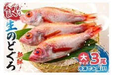 【先行予約】【兵庫県香住産 処理済 のどぐろ大3匹 1匹約250g前後 計約700～800g 冷凍】令和7年9月中旬以降発送予定 日本海で水揚げ 生冷凍 鮮度抜群、脂乗りの良いノドグロを急速冷凍 細胞を壊さず、食品の美味しさをキープ 白身のトロ 産地直送 兵庫県 香美町 香住 柴山 山陰 大人気 ふるさと納税 送料無料 宿院商店 32000円 33-31