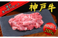 切り落とし200g