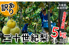 【梨 訳あり 20世紀梨 5kg（10～18玉）サイズバラつき有り（L～5L）生産者応援商品】【先行予約】9月上旬以降配送予定 生産者応援商品です！台風で落下した梨やカメムシ被害を受けた梨も含みます。ご家庭用 ジャムなど加工用にもおすすめ 人気 ふるさと納税 返礼品 おすすめ 傷あり 不揃い 二十世紀梨 兵庫県
 香美町 香住梨 フルーツ ナシ 青梨 和梨 JAたじま 10000円 12-23